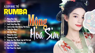 Mộng Hoa Sim , Chúc Em Bên Người - ALBUM RUMBA 8x9x Hot Tiktok - LK Nhạc Trẻ Rumba Đặc Biệt