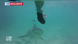 Sharkbanz Story 9 News Perth 2 23 2020