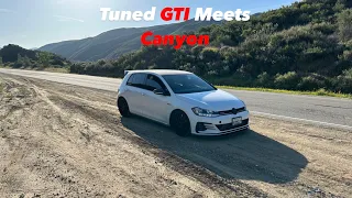 300+hp GTI vs Canyon