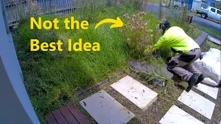 Weeds Infest Yard While House is Renovated | Satisfying Mow