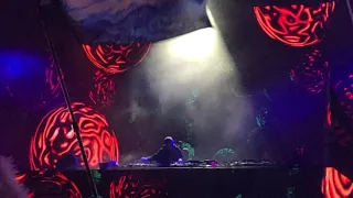 Greenlight - MARAUDA Edit by Nexu5 (Live) - MARAUDA @ Beyond Wonderland PNW '22