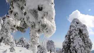 Когда у тебя не хватает решимости, вспомни...