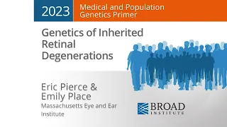 MPG Primer: Genetics of Inherited Retinal Degenerations