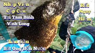 #915.Đồng Nghiệp Nhập Viện CẤP CỨU Gặp Tổ Ong Hung D.ữ. Hospitalization EMERGENCY Meet Hung Bee Hive