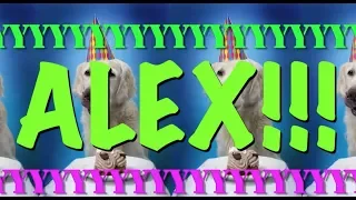 HAPPY BIRTHDAY ALEX! - EPIC Happy Birthday Song