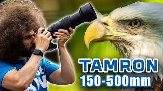 TAMRON 150-500mm REVIEW: The BEST Wildlife / Sports Lens for SONY on a Budget?