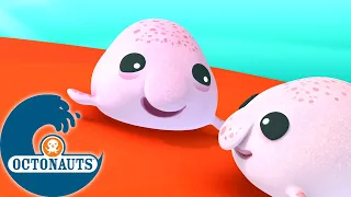 Octonauts - Les frères Blobfish | Dessins animés pour enfants