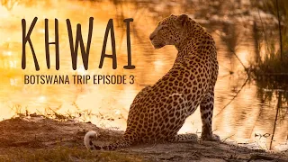 BOTSWANA TRIP Episode 3 | Leopards, lions and wild dogs in the Khwai Concession