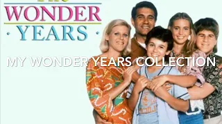 Me reviewing the wonder years the complete series box set
