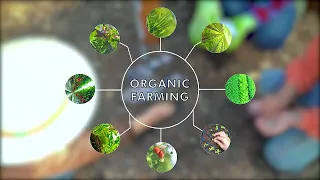 "Growing Green: The Power of Organic Farming"