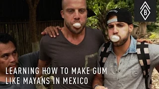 Learning How To Make Gum Like Mayans In Mexico