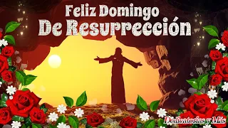 FELIZ DOMINGO DE RESURRECCIÓN 🌻💖FELICES PASCUAS 💖💐Mensaje de buenos días