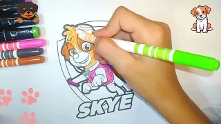 Colorindo a linda Skie da Patrulha Canina / Coloring the lovely Skye from Paw Patrol