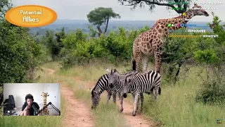 ImDontai Reacts To Are Giraffes OP