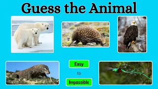 Guess the Animal in 3 Seconds| Animal Quiz|