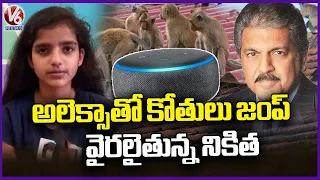 Nikita To Scare Off Monkeys With Technology And Saves Sister | Uttar Pradesh | V6 News