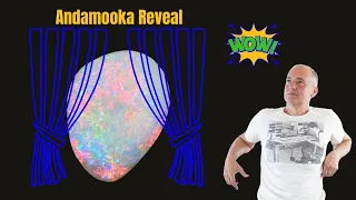 Unveiling the Enchanting Opal Patterns of Andamooka Crystal