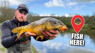 How to Catch Carp FAST!