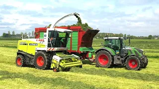 Eerste snee gras 2023 hakselen met Claas Jaguar 900. Jan van den Bergh Sint Annen.