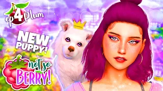 PUPPY TIME!  - NOT SO BERRY CHALLENGE! 💜 Plum #4 (The Sims 4)