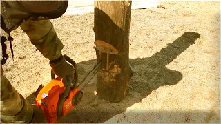 СПОСОБ ВАЛКИ ДЕРЕВЬЕВ , ШПУНТОМ И КАНАВКОЙ ....Tongue and Groove Tree Felling Technique...