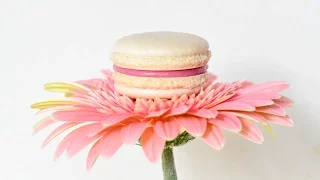 Пирожное макарон ☆ Советы по приготовлению ☆ Macaron