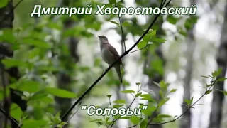 Дмитрий Хворостовский Соловьи (Nightingales)