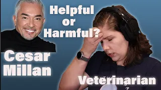 Cesar Millan - Actually a Dog Whisperer? | A Veterinarian Explains | Popular Person IV