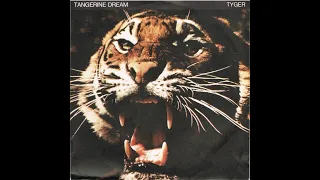 Tangerine Dream - album "Tyger" (1987)🎸Лучший альбом группы Tangerine Dream 1987 года - "Tyger"