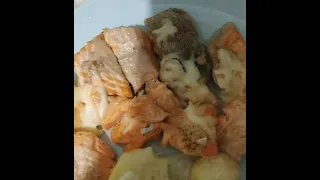 Домашний обед. Радужная форель под сыром Ламбер. Картофель под белым соусом, гарнир.