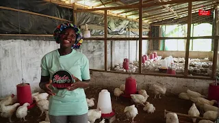 This Lady Is The fastest Growing Poultry Farmer in Ejisu - Kumasi In Less Than One Year (NILA FARMS)