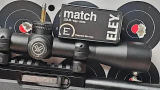 ELEY Match 22LR. Expensive 22LR! Is it Worth the Cost???