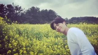 Park Bo Gum & BTS V Trip to Jeju-Island