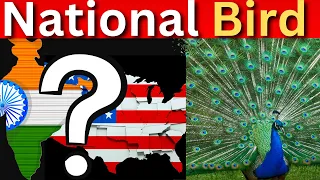 Can You Guess The Country By Its National Bird 🐦General Knowledge Quiz