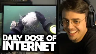 REAKTION auf "Daily Dose of Internet" 😄 | Papaplatte Highlights