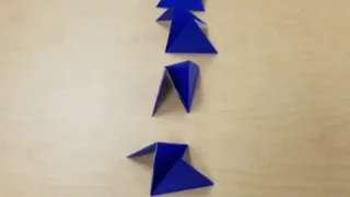 Origami Module with Robert J Lang