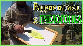 Вадене на Мед с Пчелогонка