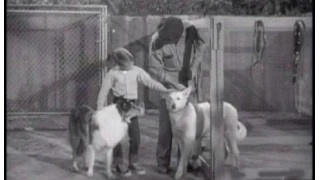 Lassie - Episode #285 - "The Unwanted" - Season 8 Ep.30  - 04/08/1962