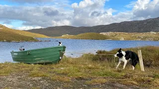 Family Holiday - Funny Dog Tricks Movie - Rory the Quirky Border Collie