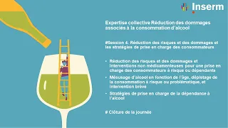 Expertise collective Réduction des dommages associés à la consommation d’alcool #Session 4