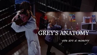 Grey's anatomy I You are a memory (season 1-13)