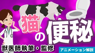 猫の便秘の症状について【獣医師執筆監修】症状から治療方法まで