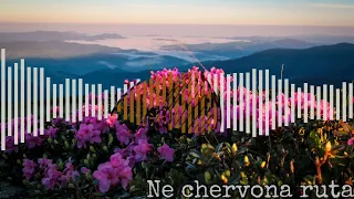 Artem Loik, Abiye - 🎶 Не червона рута 🎶 (Alex Fleev Remix)