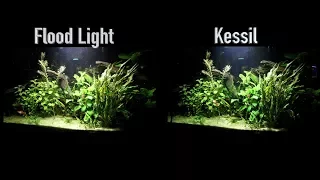 Kessil VS Flood Light