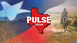 FULL MEASURE: June 2, 2019 - Texas Pulse