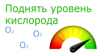 Очистка водоёмов с помощью микроводоросли Хлорелла