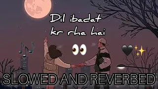 LOFI✨: DIL IBADAT KR RHA HAI | SLOWED AND REVERBED