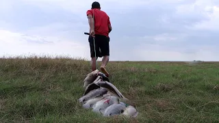 Increíble Pesca De Tilapias Gigantes,Pesca Y Cocina