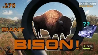 My BIGGEST BISON Ever with the 270 RIFLE!! Call of the WILD THEHUNTER 2018