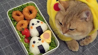 Japanese Lunch Box Fried Squid Bento イカリング弁当 [Ep1]